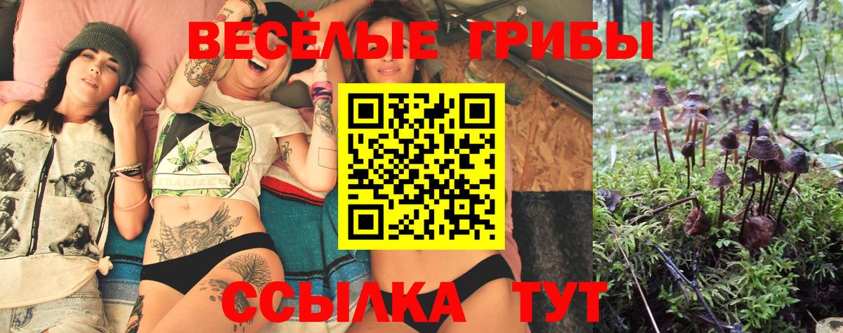 Псилоцибиновые грибы мицелий  Вход с VPN  Галлюциногенные грибы GOLDEN TEACHER  даркнет сайт  Карачаевск 